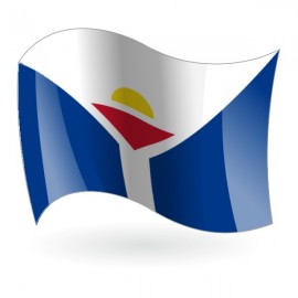 Bandera de San Martín ( Colectividad )